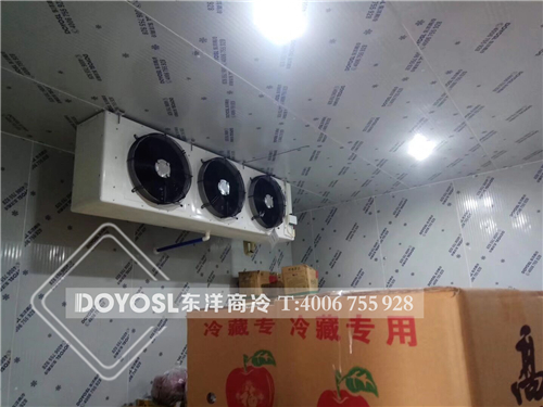 廣州水果富果佳水果保鮮冷庫工程案列，冷庫，冷庫造價表 ，冷庫建造 ，冷庫除濕機， 冷庫安裝，2019冷庫補貼政策，500立方冷庫造價表 ，60立方冷庫用幾p外機，100平方冷庫造價， 農(nóng)村冷庫建造方法， 冷庫工程報價表，教你如何經(jīng)營冷庫生意， 動遷冷庫按多少錢一平 ，冷庫前景及利潤