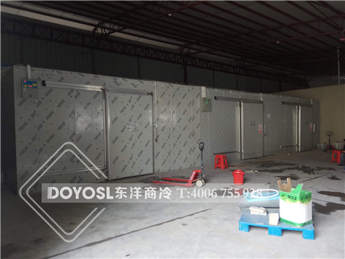 廣州水果富果佳水果保鮮冷庫工程案列，冷庫，冷庫造價表 ，冷庫建造 ，冷庫除濕機， 冷庫安裝，2019冷庫補貼政策，500立方冷庫造價表 ，60立方冷庫用幾p外機，100平方冷庫造價， 農(nóng)村冷庫建造方法， 冷庫工程報價表，教你如何經(jīng)營冷庫生意， 動遷冷庫按多少錢一平 ，冷庫前景及利潤